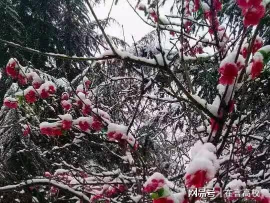 开云体育 开云平台详解：陕西工业职业技术学院王牌专业有哪些？(图2)